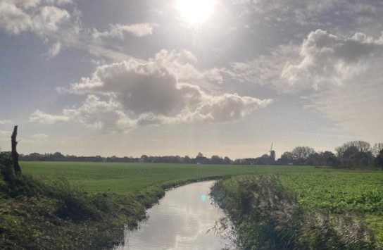 (vergroot foto)