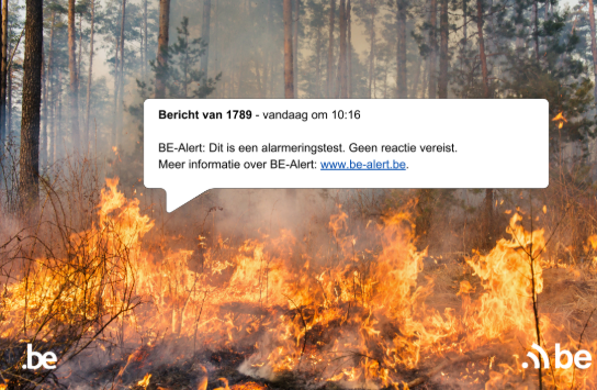 (vergroot foto)